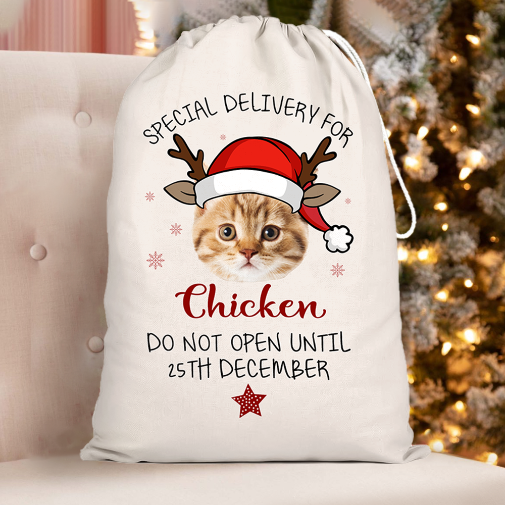 Personalized Santa Sack - Christmas Gift For Family & Pet Lover - Reindeer Santa Hat Photo