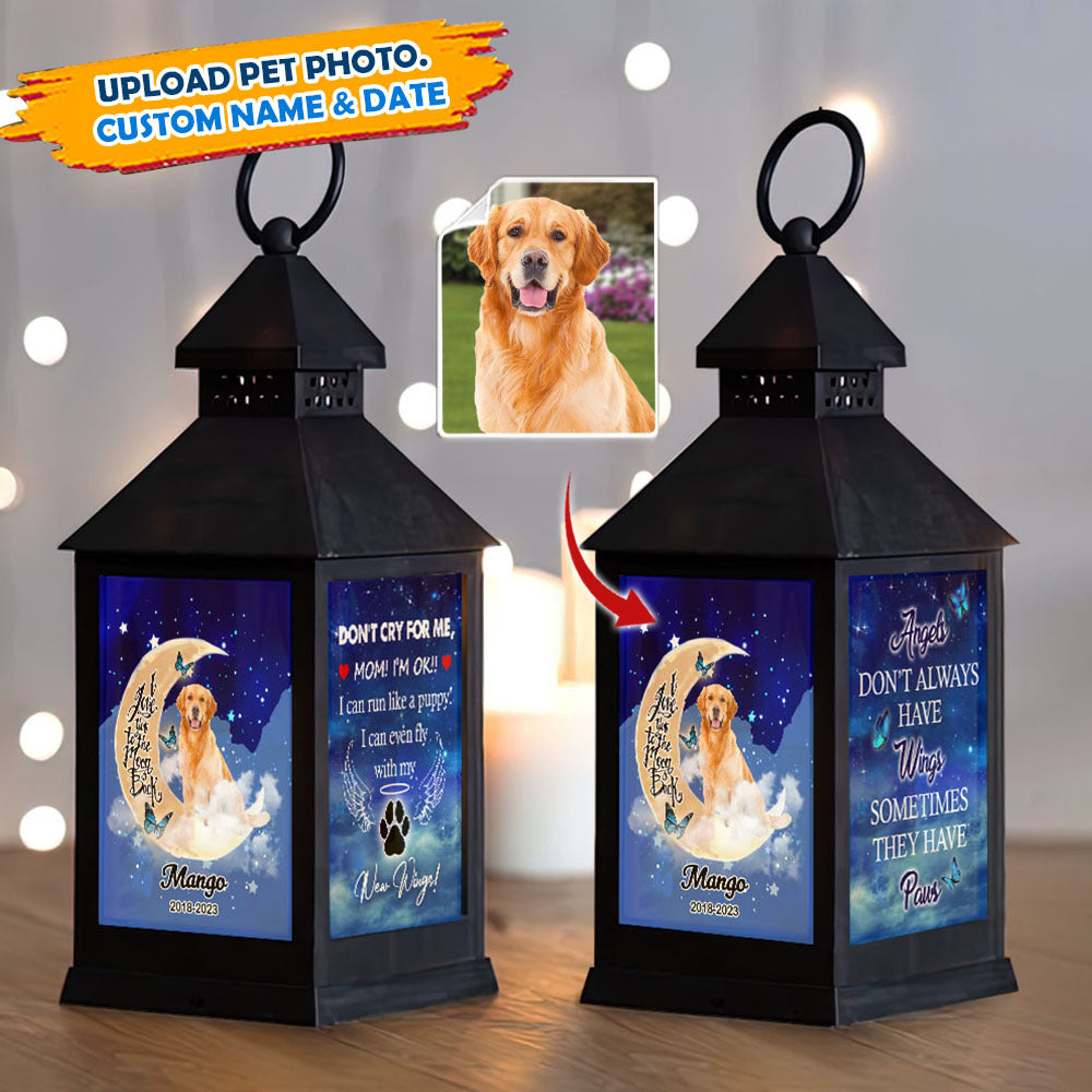 Custom Dog Photo Dont cry for me Memorial Lantern II, Pet Memorial Gift