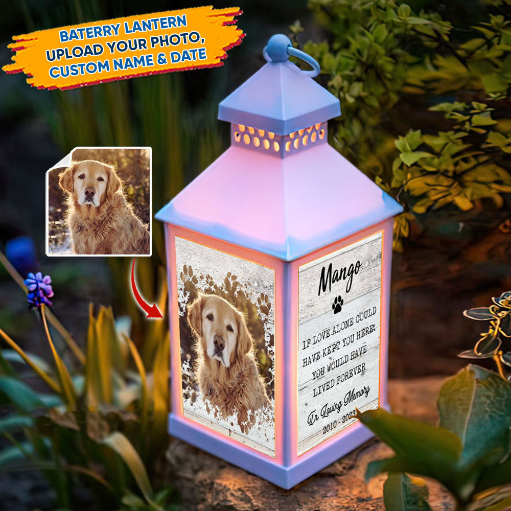 If Love Alone Could Have Kept You Pet Memorial Lantern II, Memorial Gift