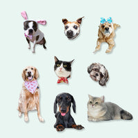 Thumbnail for Custom Photo Pet Magnets, Fridge Magnet, Gift for Pet Lovers