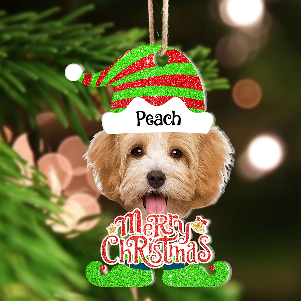 Personalized Acrylic Ornament - Christmas Gift For Pet Lover - Face Photo Christmas Costumes