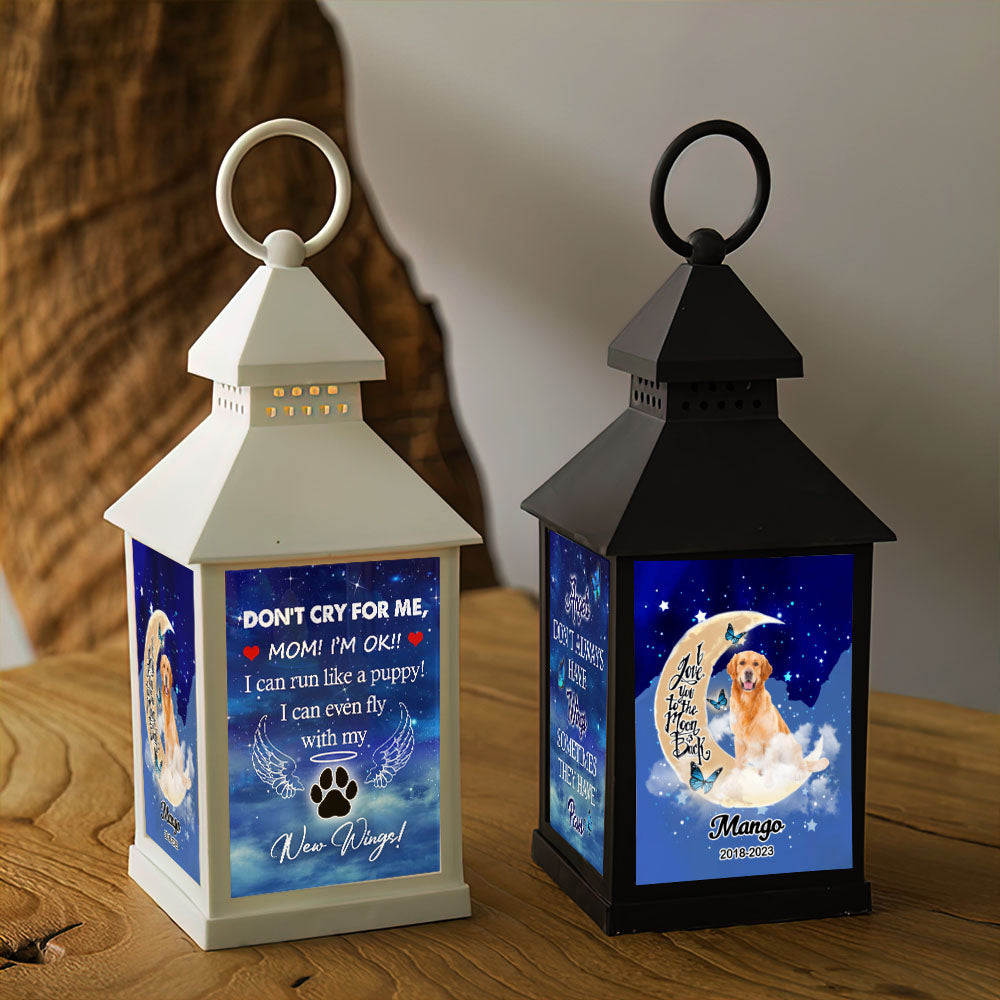 Custom Dog Photo Dont cry for me Memorial Lantern II, Pet Memorial Gift