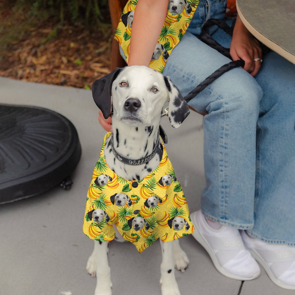 Personalized Tropical Face Photo Hawaiian Shirt, Matching Shirt For Dog Cat Lovers