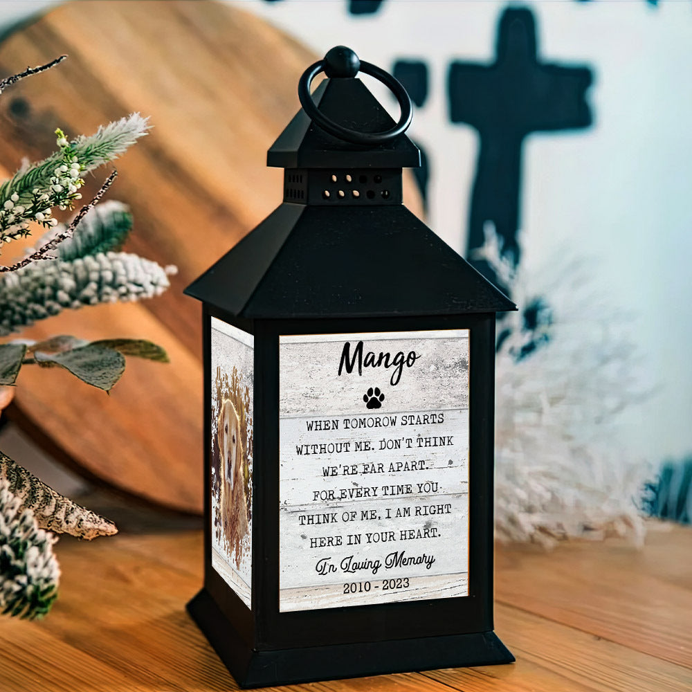 If Love Alone Could Have Kept You Pet Memorial Lantern II, Memorial Gift