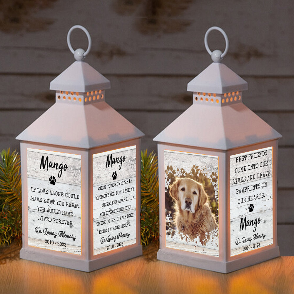 If Love Alone Could Have Kept You Pet Memorial Lantern II, Memorial Gift